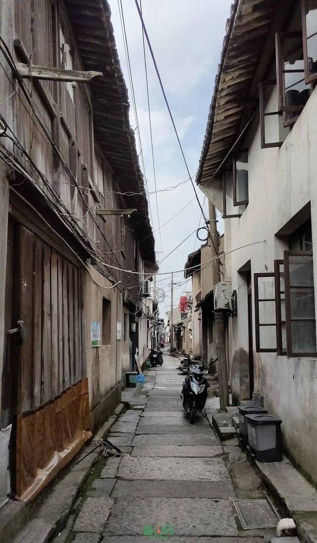 “A股牛回速归!”冯柳再次现身加仓,“超级牛散”赵建平仍在坚守
